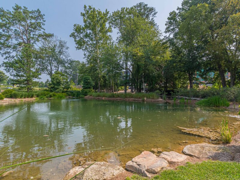 FIFA 2026 Base | Modern Micro Home in Trilith