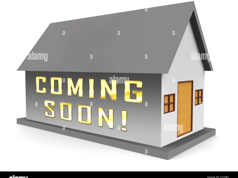 The Victory Villa / brand new under construction