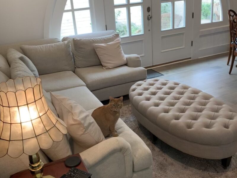 Trilith Luxury Townhome 3 bedrooms fully furnished with two car garage & minutes to US Soccer Headquarters