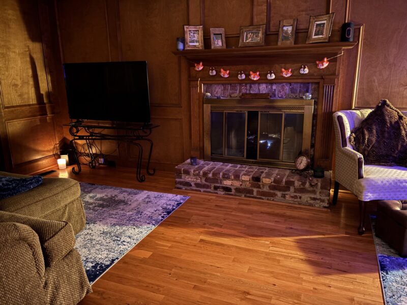 Rustic Country Home near Trilith