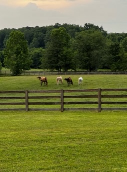 Redwood Ranch Barndominium