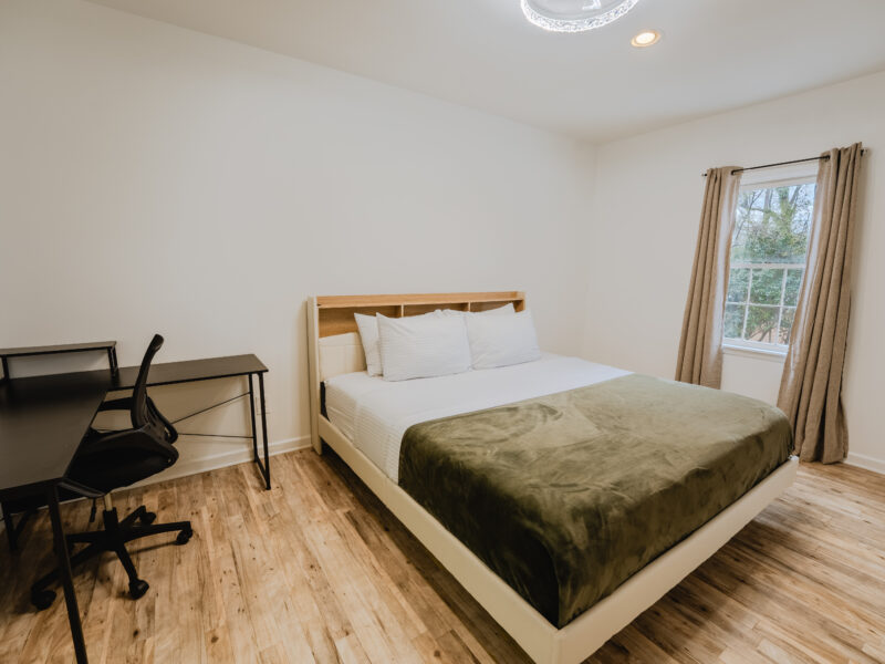 Luxury Minimalist Home on Lake Peachtree