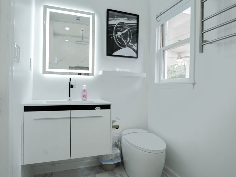 Luxury Minimalist Home on Lake Peachtree