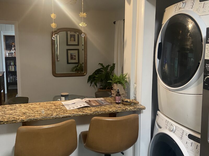 Eclectic midcentury modern with screened backporch