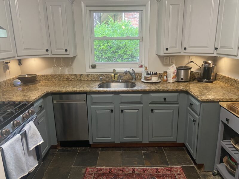 Eclectic midcentury modern with screened backporch