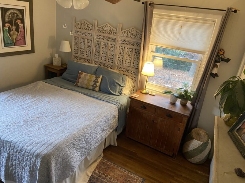 Eclectic midcentury modern with screened backporch