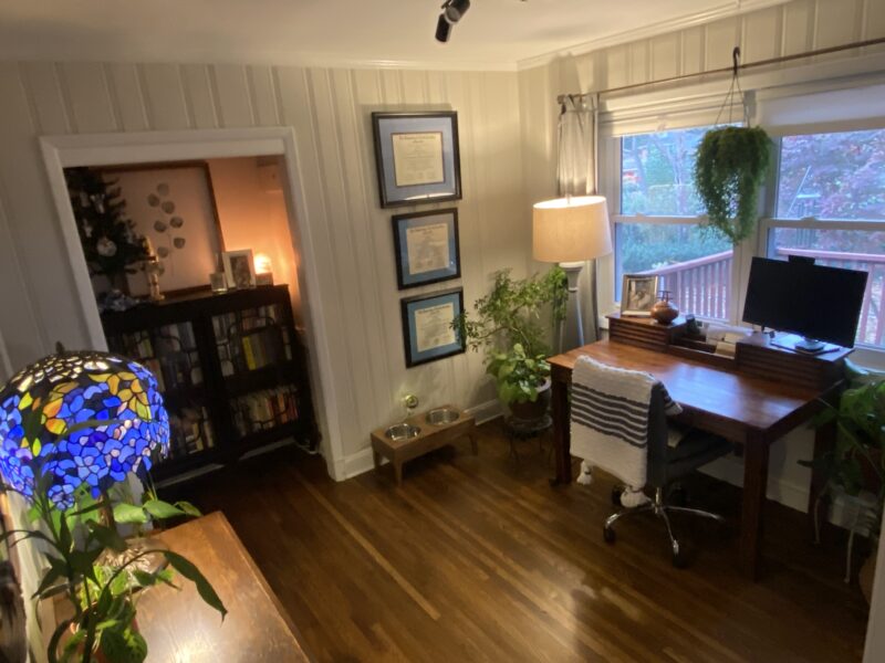 Eclectic midcentury modern with screened backporch