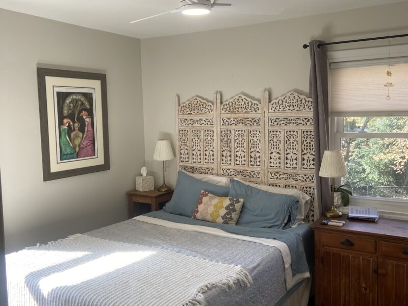 Eclectic midcentury modern with screened backporch