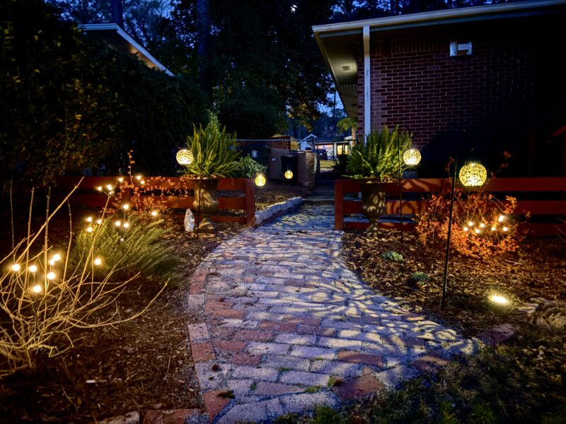 Eclectic midcentury modern with screened backporch