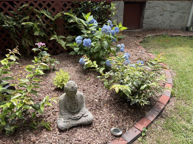 Eclectic midcentury modern with screened backporch
