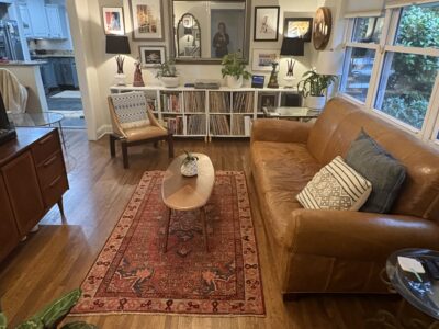 Eclectic midcentury modern with screened backporch