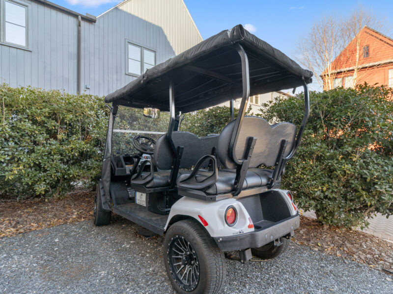 Trilith Home - Walk to Soccer Center | Near US Soccer HQ | FIFA 2026 Base | EV Charger | (Golf-cart rental separate fee)