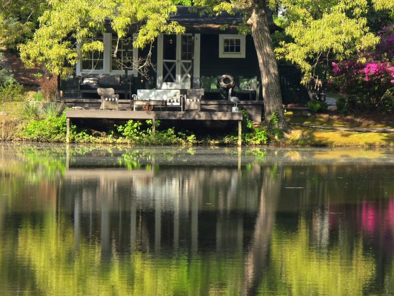 COZY COTTAGE NESTLED ON WATERS EDGE