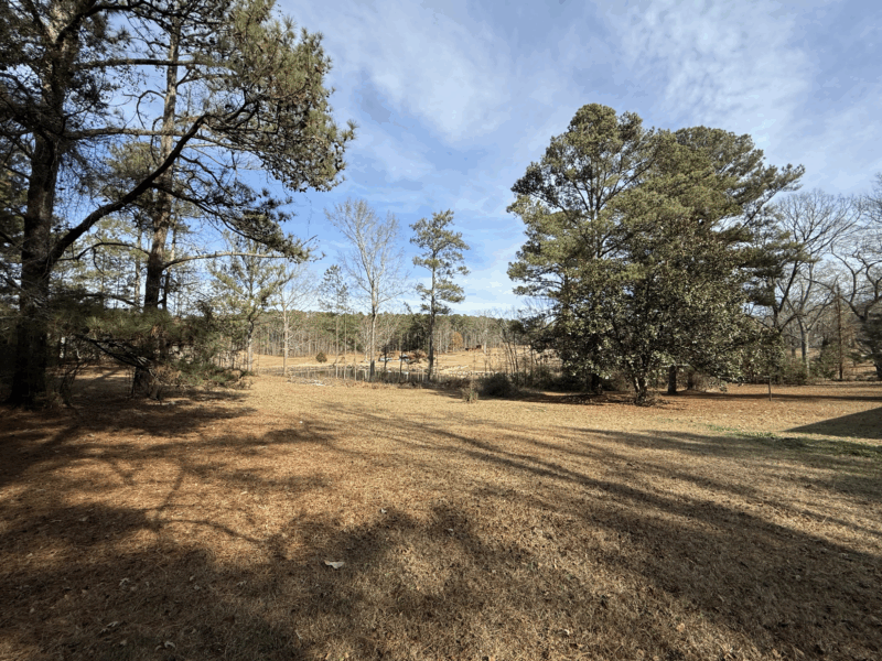 The FIFA Lake View @BeaneAcres in Atlanta Ga