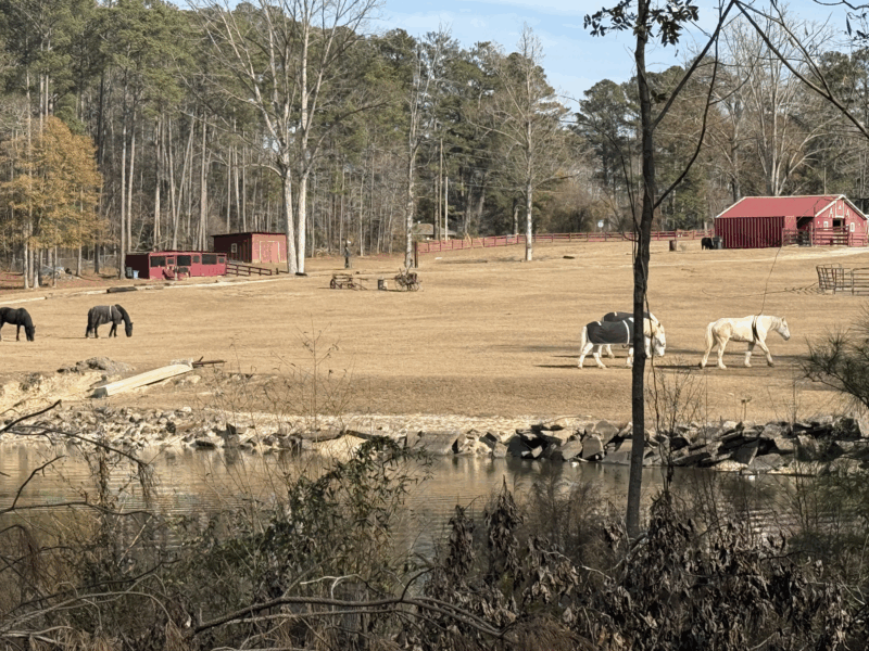 The FIFA Lake View @BeaneAcres in Atlanta Ga