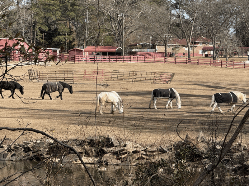 The FIFA Lake View @BeaneAcres in Atlanta Ga