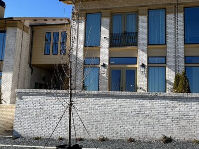 Trilith Luxury Terrace Home - New Build with 2 Dedicated Office Spaces