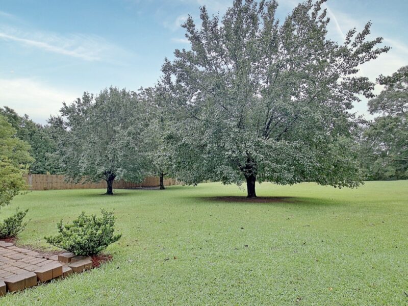 The Nostalgic Hideaway