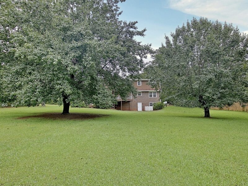 The Nostalgic Hideaway