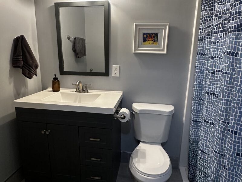 Lakeside Retreat 35 min to Mercedes-Benz Stadium