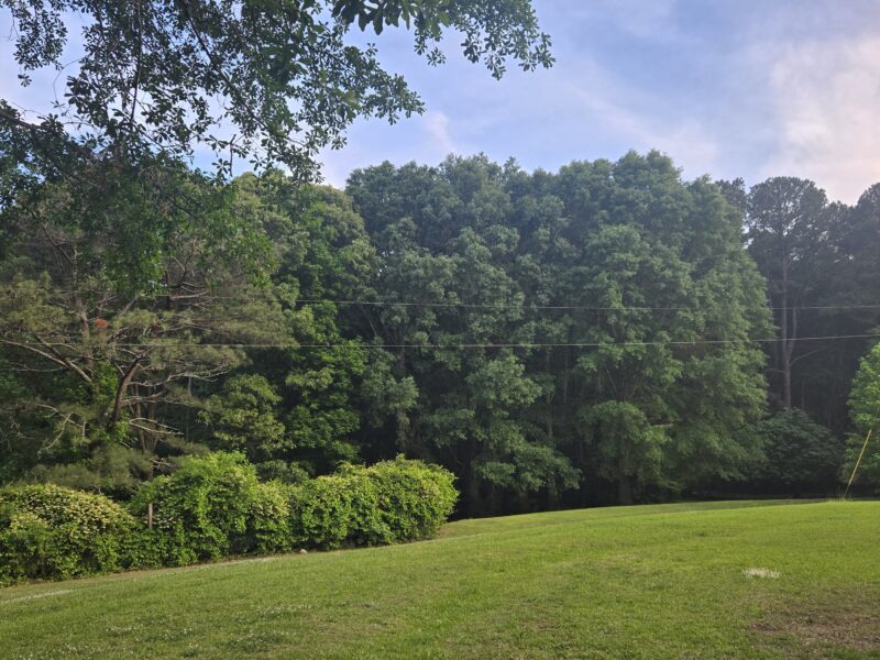 Private Estate/Duplex Residence 4 mins to soccer field.