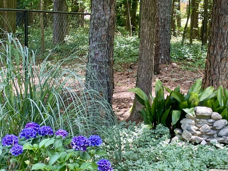 World Cup Little White House 3 bed / 2 bath