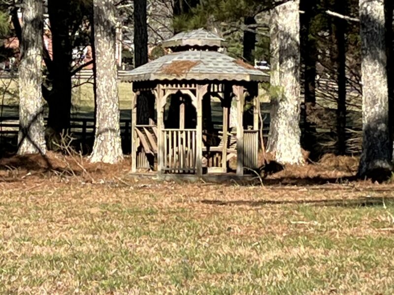 🏆 The Soccer Executive Estate: 5-Acre Compound & Pool 10 Miles to U.S. Soccer Training Center | Accommodates 14 | 6,500 Sq. Ft.