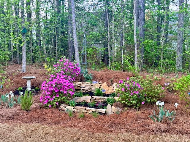 Charming Peachtree City Home