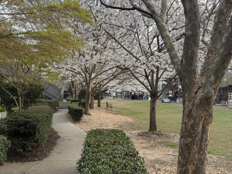 World Cup Executive or Family Modern 2 bed / 2 bath Ground Floor Loft. Sleeps 6. 3.2 miles to Mercedes Benz Stadium. Centrally located, very walkable neighborhood.