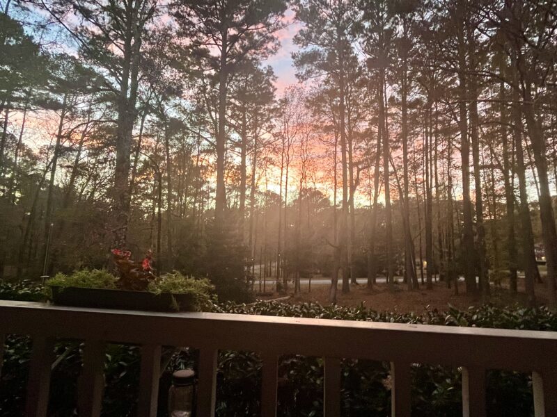 Private 2-Acre Retreat with Pool, Organic Garden, Daily Fresh Eggs | 8 Minutes to U.S. Soccer National Training Center, Trilith & Shopping Centers