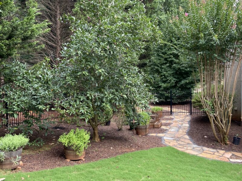 Peachtree City home w heated salt water pool near Trilith and Arthur M Blank Soccer Training Center