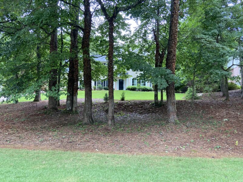 Peachtree City home w heated salt water pool near Trilith and Arthur M Blank Soccer Training Center