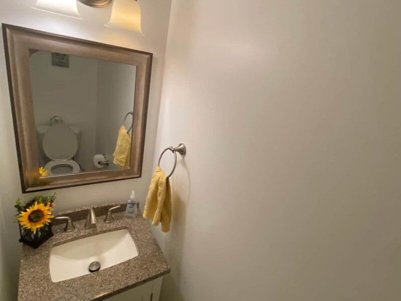 Fully Furnished Executive Home Near Atlanta- Golf Cart Access & Nature Views