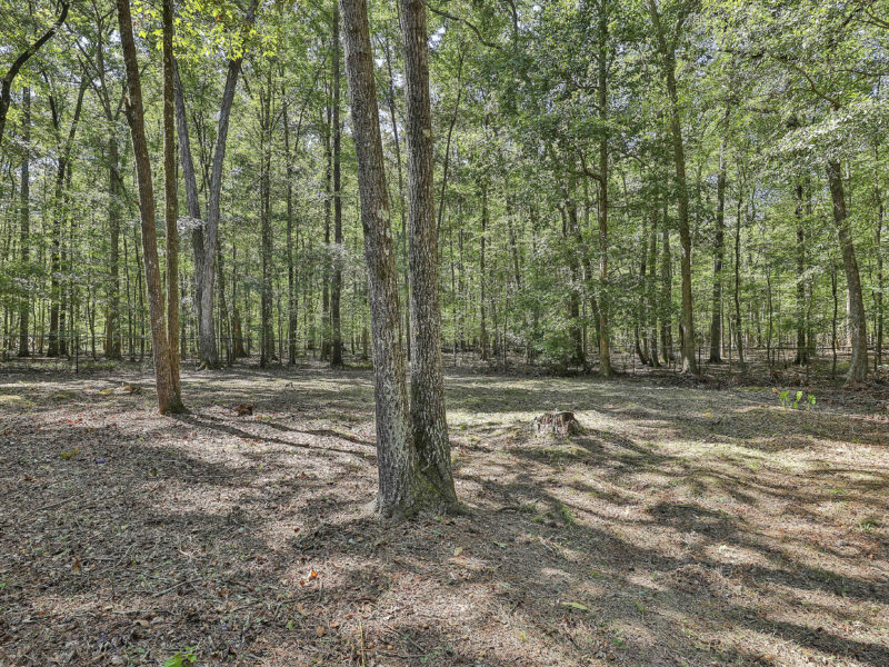 Cozy 2 story, 4 bed, 3 bath home on 6 acres! 10 minutes from Trilith and the National Training Center