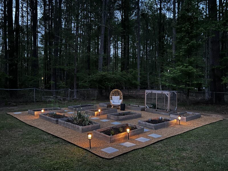 Fayetteville/Trilith Live/ Team USA Training