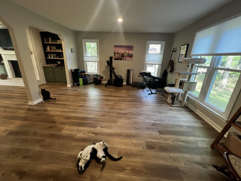 Fayetteville/Trilith Live/ Team USA Training