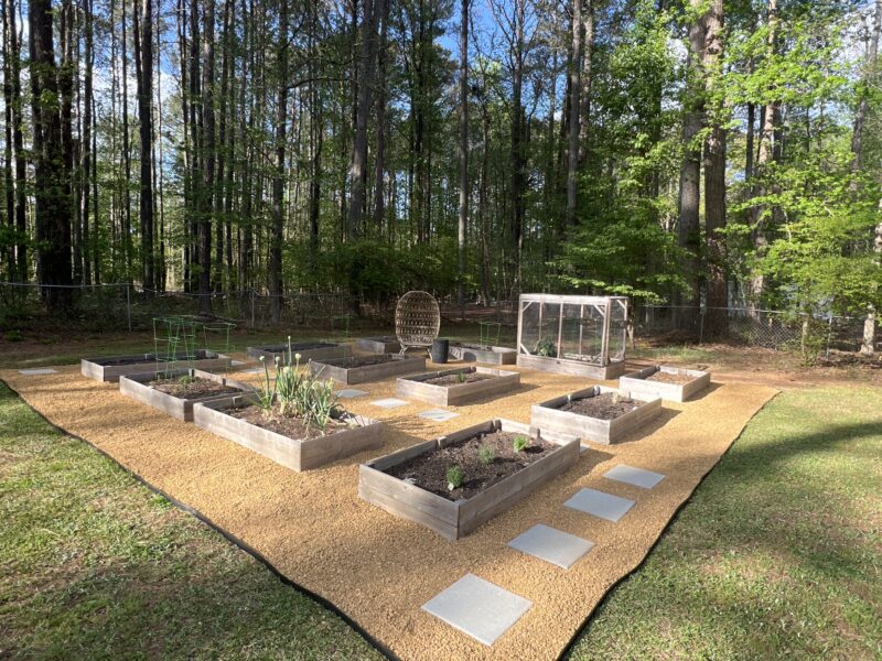 Fayetteville/Trilith Live/ Team USA Training