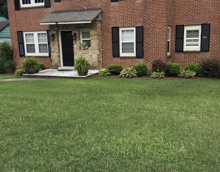 West End Gem - 7 Min from Downtown - 15 min from Airport