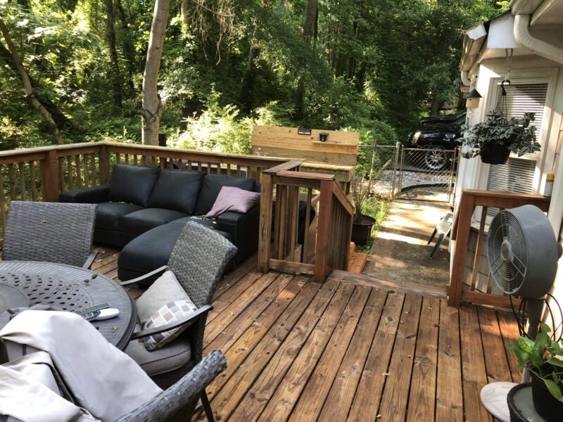 Serenity Under the Pines